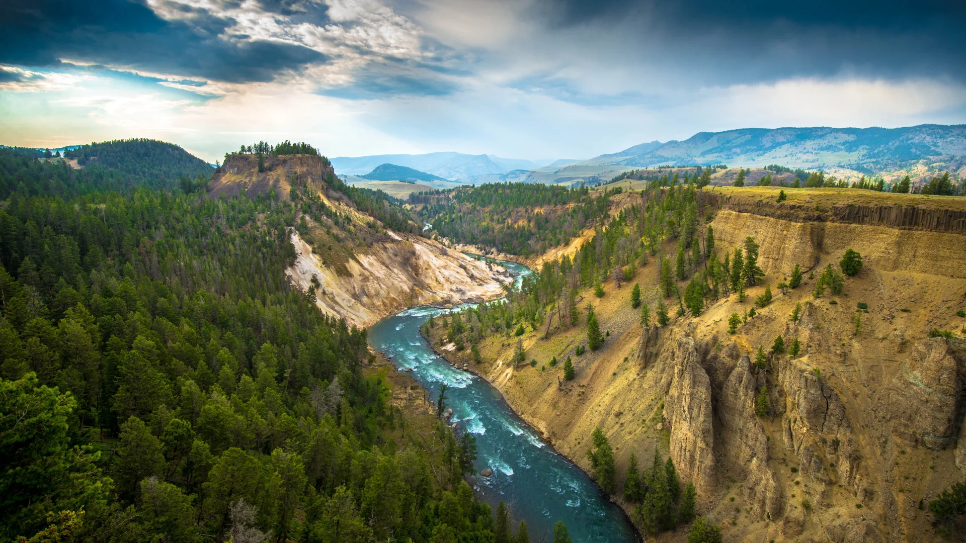 Yellowstone